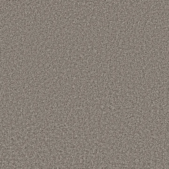 Shaw Floors Cool Flair — Dolphin · E9964-00501 — flooring selection with LeviArs Design & Remodeling