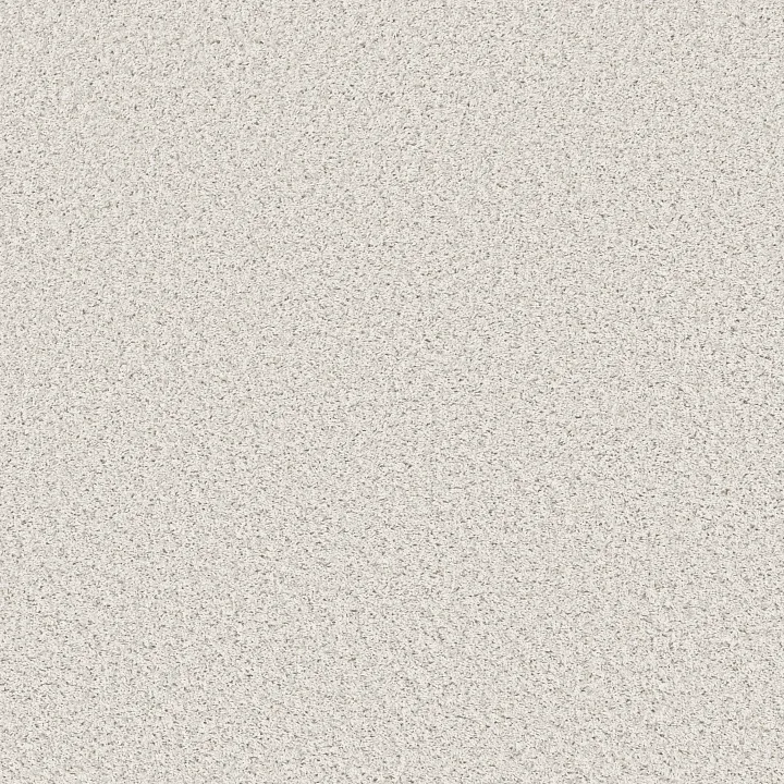 Shaw Floors Cool Flair — First Star · E9964-00110 — flooring selection with LeviArs Design & Remodeling