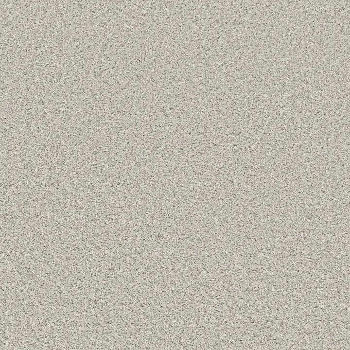 Shaw Floors Cool Flair — Mayfair · E9964-00112 — flooring selection with LeviArs Design & Remodeling