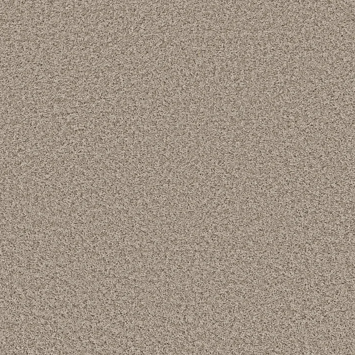 Shaw Floors Cool Flair — Oyster · E9964-00104 — flooring selection with LeviArs Design & Remodeling