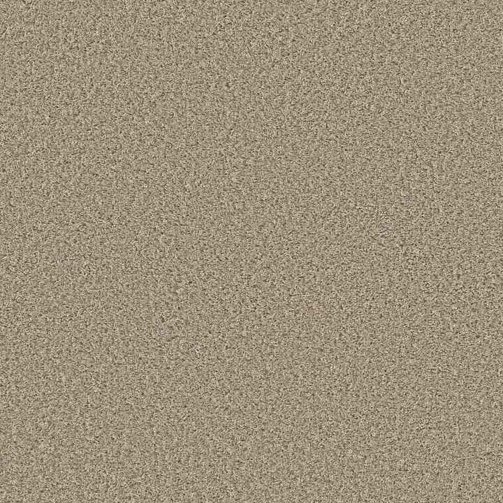 Shaw Floors Cool Flair — Resort Sand · E9964-00101 — flooring selection with LeviArs Design & Remodeling