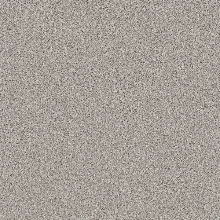 Shaw Floors Cool Flair — Sterling Haze · E9964-00500 — flooring selection with LeviArs Design & Remodeling