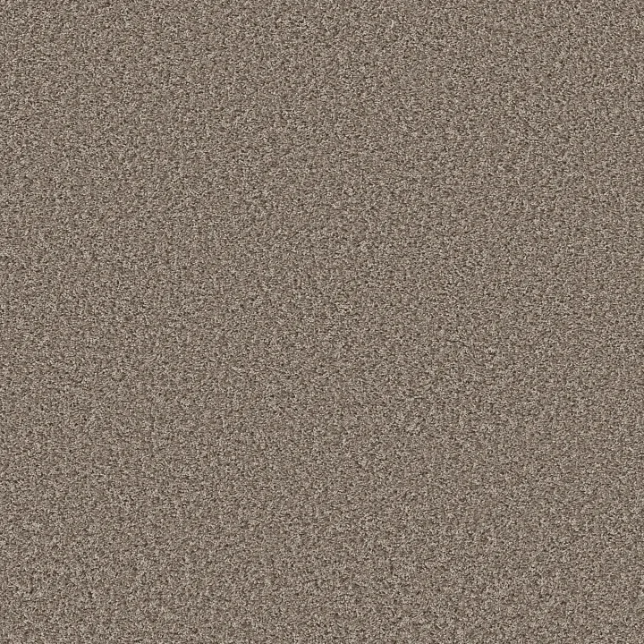 Shaw Floors Cool Flair — Tempting Taupe · E9964-00701 — flooring selection with LeviArs Design & Remodeling