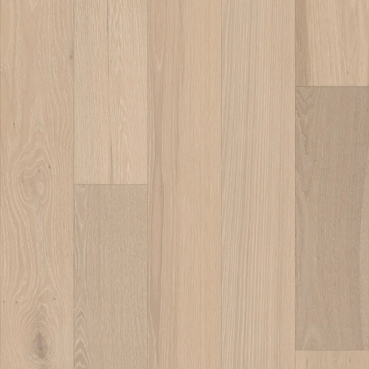 Shaw Floors Cornerstone II — Cotton · SW789-01173 — flooring selection with LeviArs Design & Remodeling