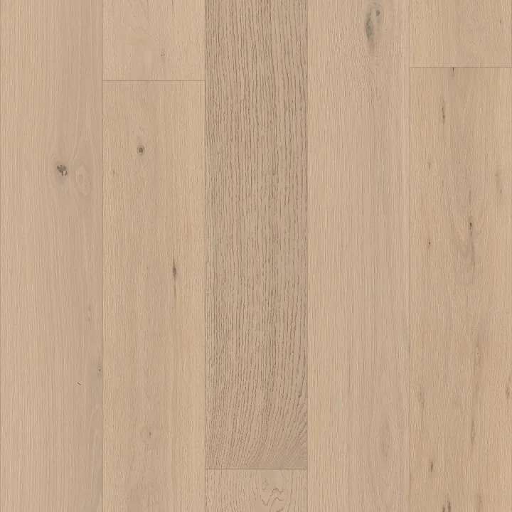 Shaw Floors Cornerstone II — Mist · SW789-01174 — flooring selection with LeviArs Design & Remodeling