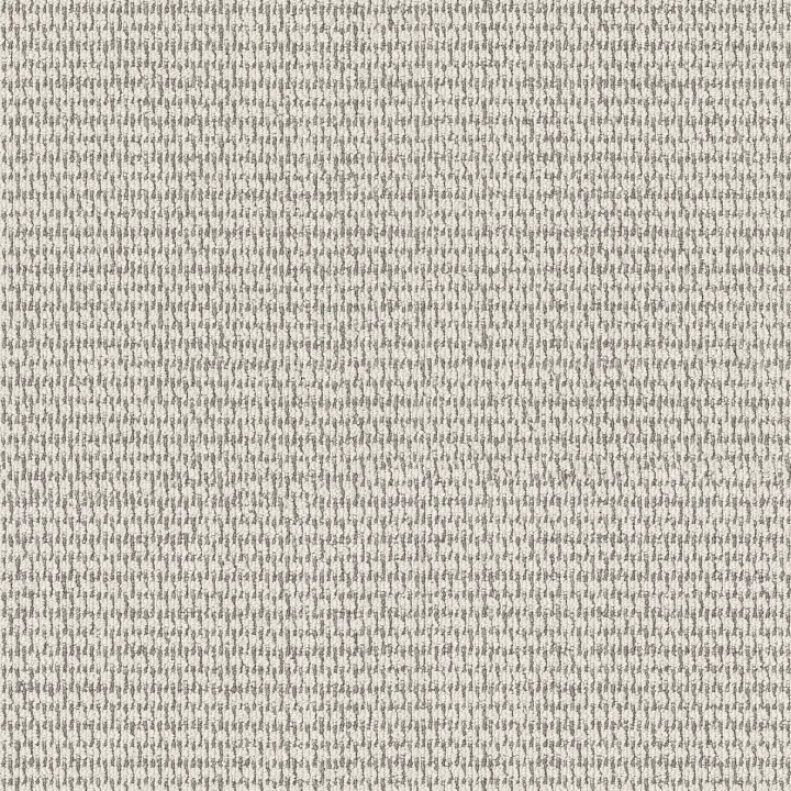 Shaw Floors Cozy Embrace — Creamy · 5E881-00106 — flooring selection with LeviArs Design & Remodeling