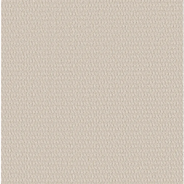 Shaw Floors Cozy Embrace — Ivory · 5E881-00100 — flooring selection with LeviArs Design & Remodeling