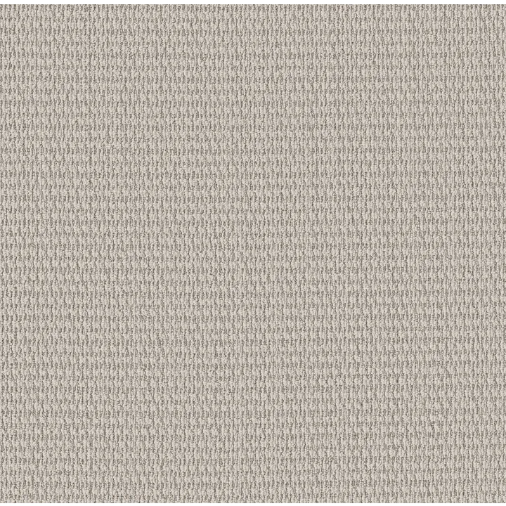 Shaw Floors Cozy Embrace — Marble · 5E881-00108 — flooring selection with LeviArs Design & Remodeling