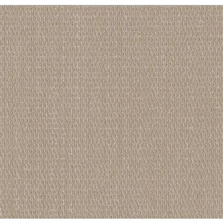 Shaw Floors Cozy Embrace — Natural Sisal · 5E881-00705 — flooring selection with LeviArs Design & Remodeling