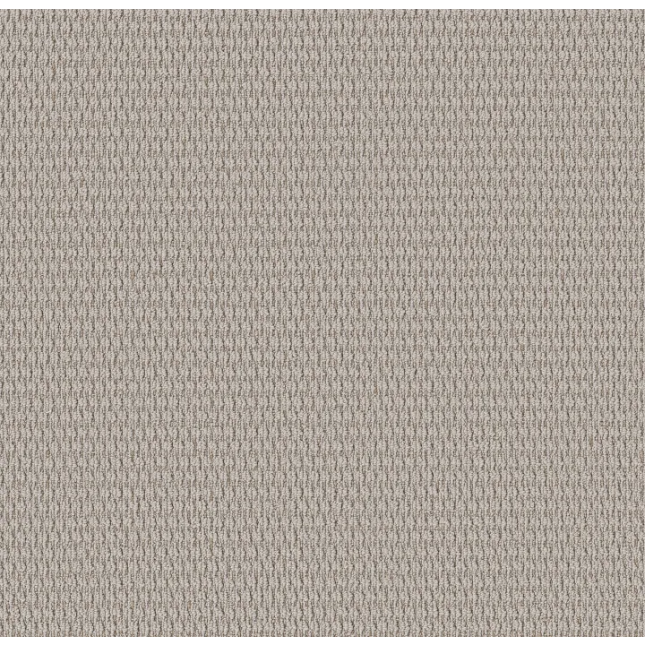Shaw Floors Cozy Embrace — Platinum · 5E881-00502 — flooring selection with LeviArs Design & Remodeling