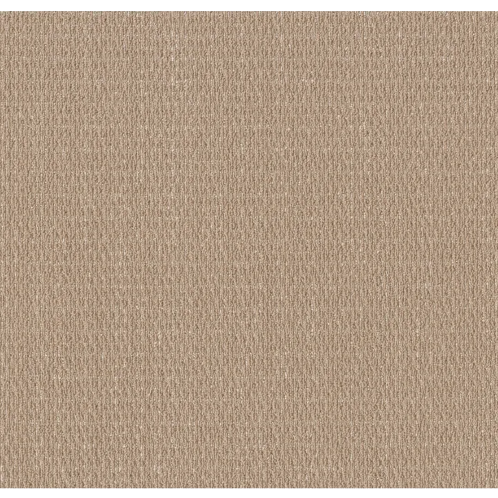 Shaw Floors Cozy Embrace — Sun Bleached · 5E881-00110 — flooring selection with LeviArs Design & Remodeling