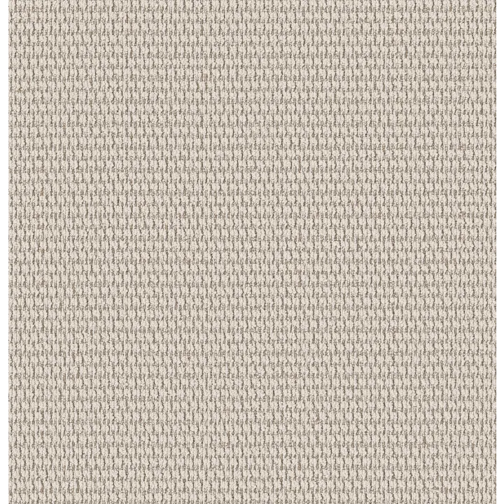 Shaw Floors Cozy Embrace — Wool Blanket · 5E881-00105 — flooring selection with LeviArs Design & Remodeling