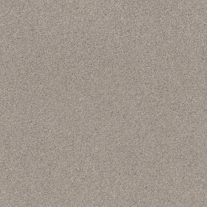 Shaw Floors Cozy Harbor I — Baltic Stone · CC78B-00128 — flooring selection with LeviArs Design & Remodeling