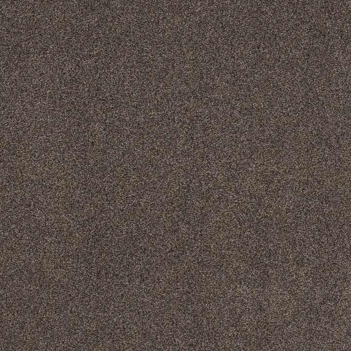 Shaw Floors Cozy Harbor I — Burma Brown · CC78B-00752 — flooring selection with LeviArs Design & Remodeling
