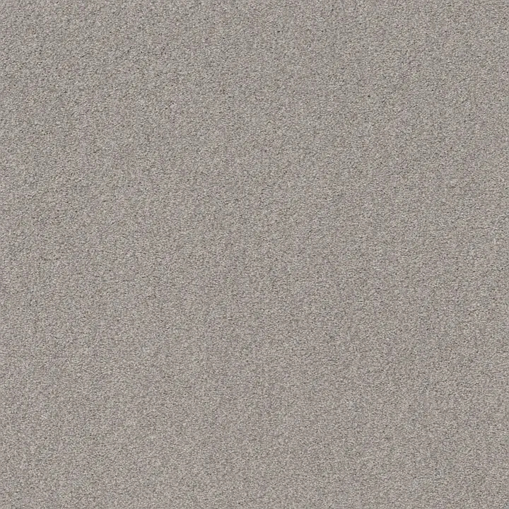 Shaw Floors Cozy Harbor I — Cold Winter · CC78B-00126 — flooring selection with LeviArs Design & Remodeling