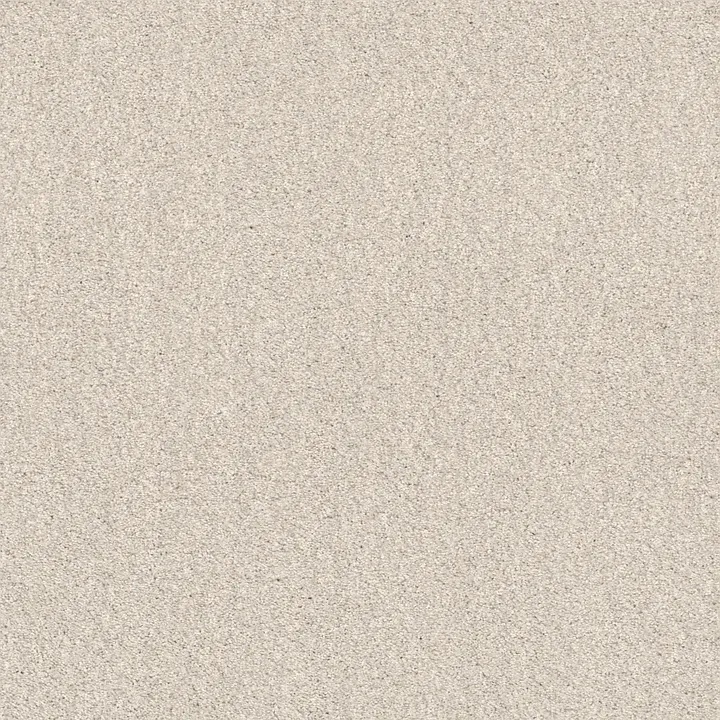 Shaw Floors Cozy Harbor I — Delicate Cream · CC78B-00156 — flooring selection with LeviArs Design & Remodeling