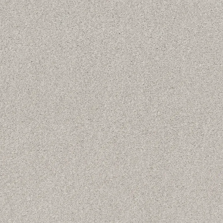 Shaw Floors Cozy Harbor I — Free Space · CC78B-00152 — flooring selection with LeviArs Design & Remodeling