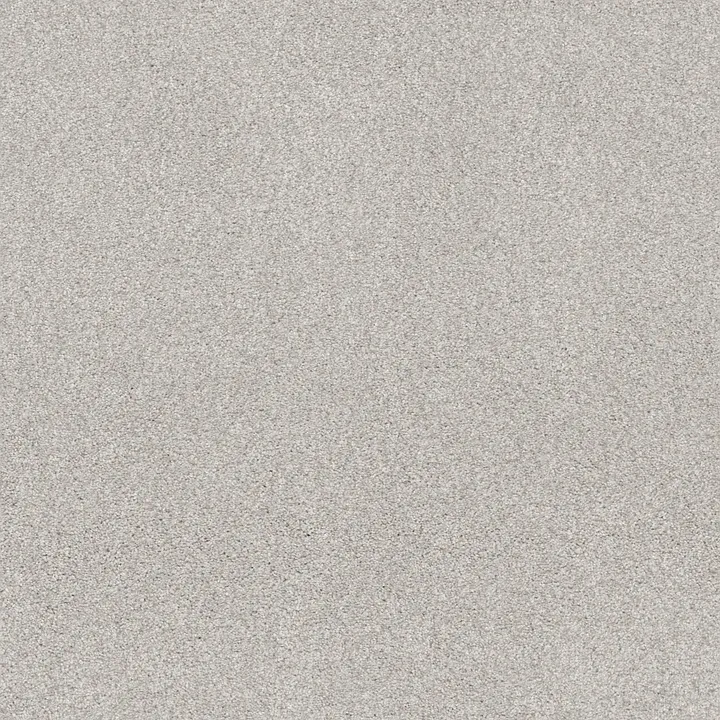 Shaw Floors Cozy Harbor I — Minimal · CC78B-00514 — flooring selection with LeviArs Design & Remodeling