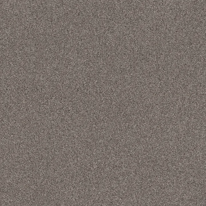 Shaw Floors Cozy Harbor I — Ridgeview · CC78B-00751 — flooring selection with LeviArs Design & Remodeling