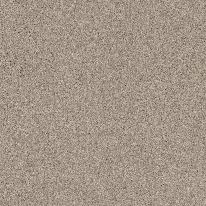 Shaw Floors Cozy Harbor I — Sandstone · CC78B-00743 — flooring selection with LeviArs Design & Remodeling