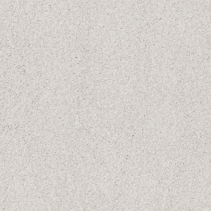 Shaw Floors Cozy Harbor I — Snowfall · CC78B-00150 — flooring selection with LeviArs Design & Remodeling