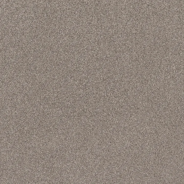 Shaw Floors Cozy Harbor I — Stucco · CC78B-00724 — flooring selection with LeviArs Design & Remodeling