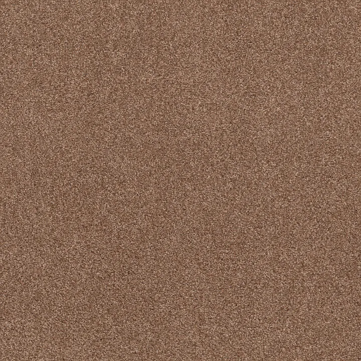 Shaw Floors Cozy Harbor I — Sunbaked · CC78B-00650 — flooring selection with LeviArs Design & Remodeling