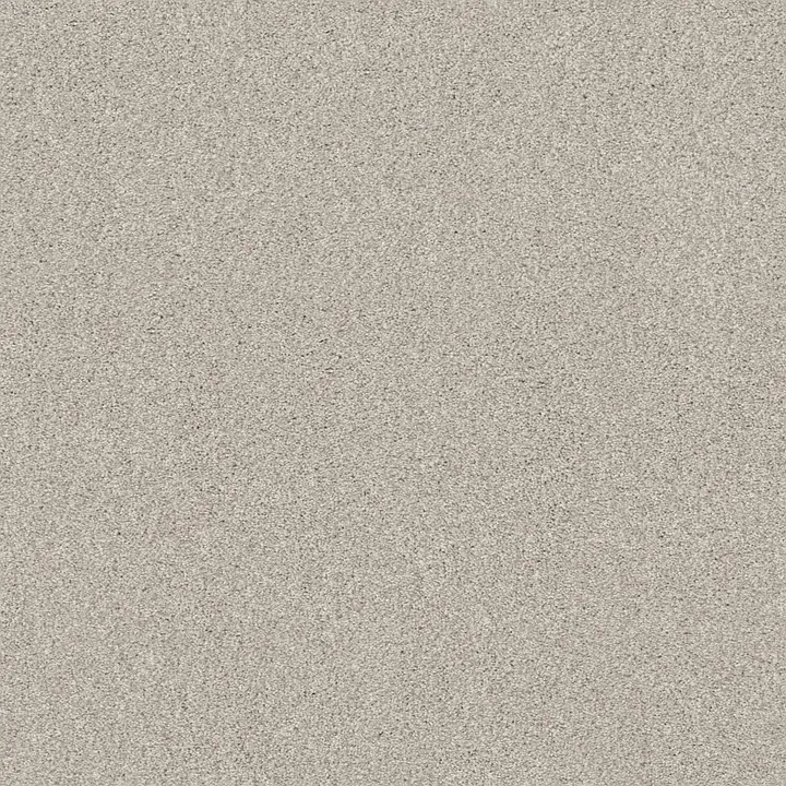 Shaw Floors Cozy Harbor I — Thoughtful · CC78B-00154 — flooring selection with LeviArs Design & Remodeling