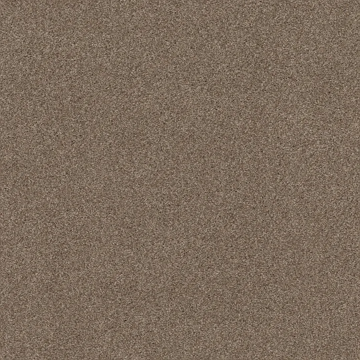 Shaw Floors Cozy Harbor I — Tumbleweed · CC78B-00749 — flooring selection with LeviArs Design & Remodeling