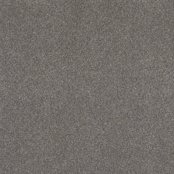 Shaw Floors Cozy Harbor I — Well Traveled · CC78B-00520 — flooring selection with LeviArs Design & Remodeling