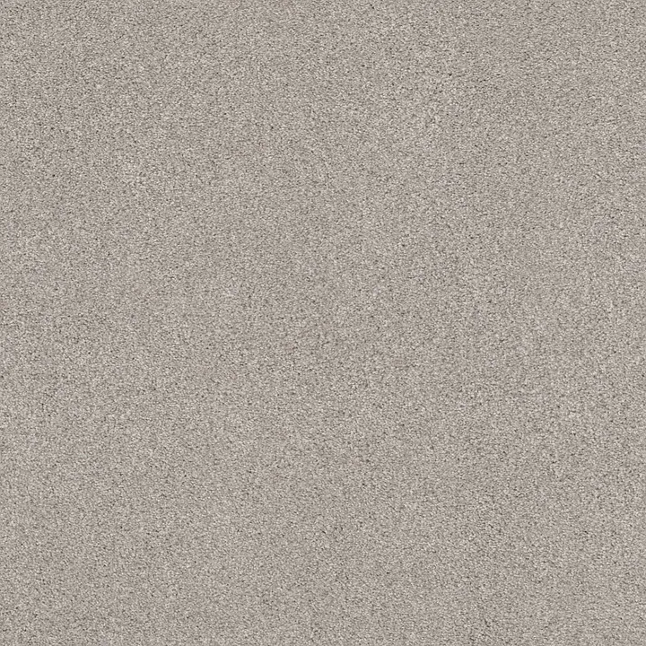 Shaw Floors Cozy Harbor II — Baltic Stone · CC79B-00128 — flooring selection with LeviArs Design & Remodeling