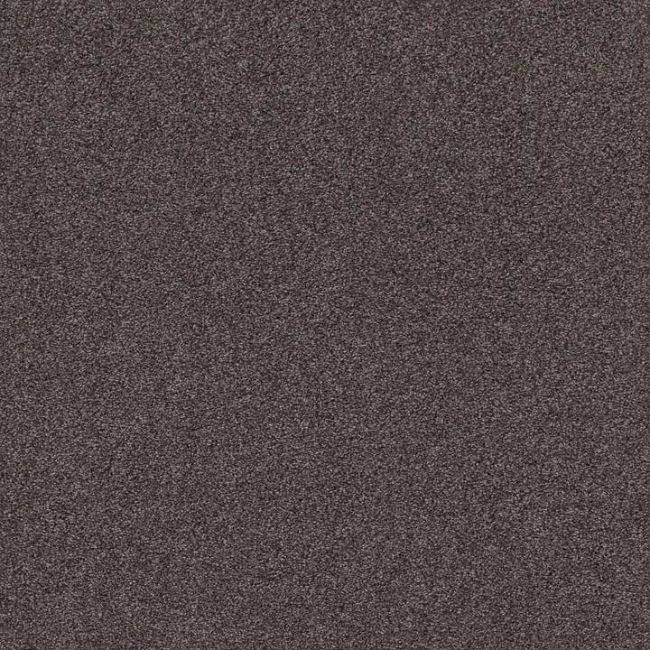 Shaw Floors Cozy Harbor II — Burma Brown · CC79B-00752 — flooring selection with LeviArs Design & Remodeling