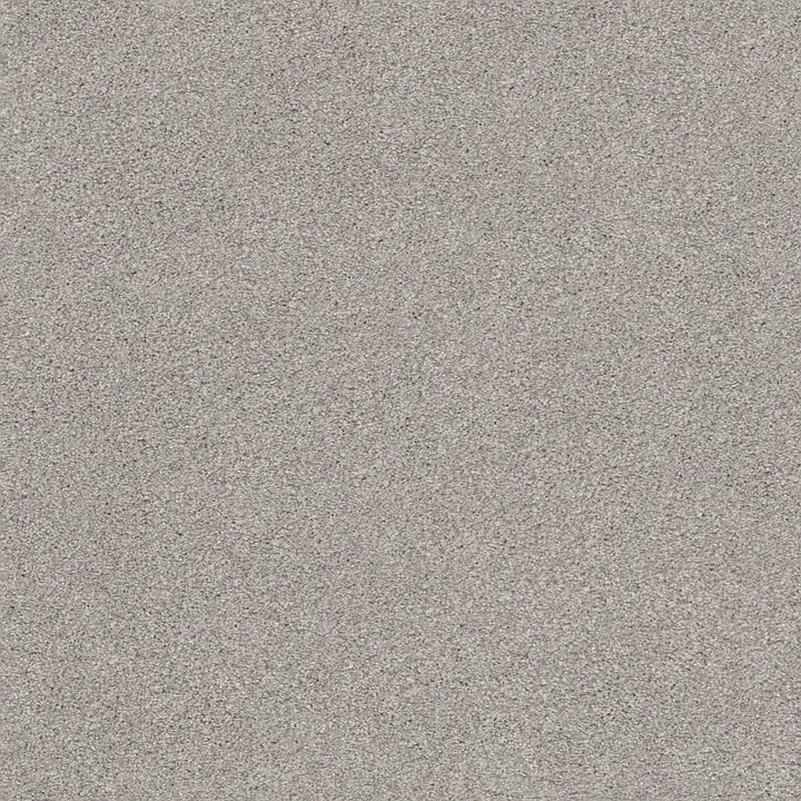 Shaw Floors Cozy Harbor II — Cold Winter · CC79B-00126 — flooring selection with LeviArs Design & Remodeling