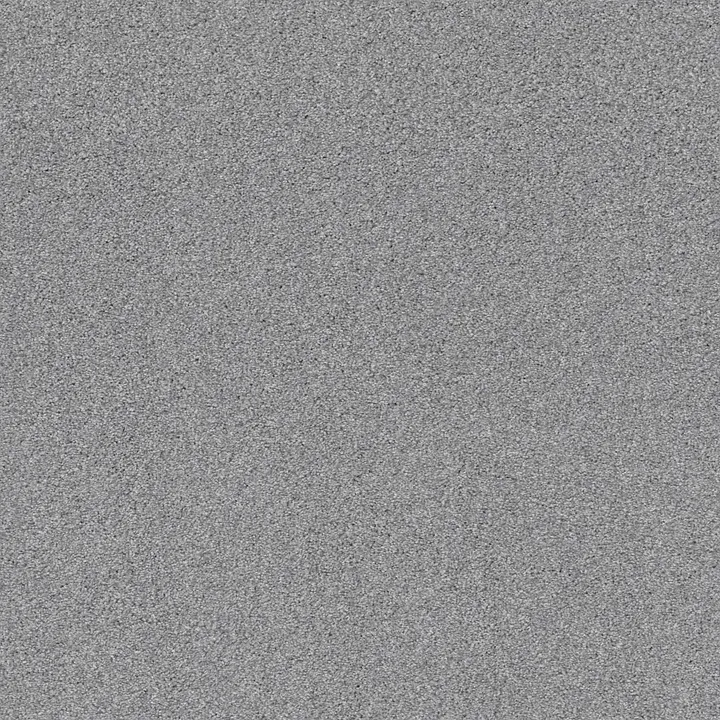 Shaw Floors Cozy Harbor II — Cool Harmony · CC79B-00529 — flooring selection with LeviArs Design & Remodeling