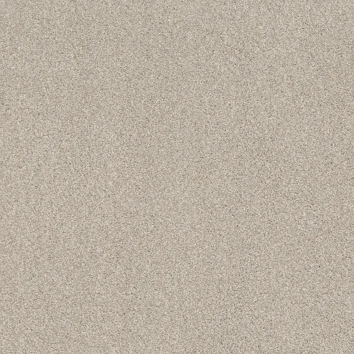 Shaw Floors Cozy Harbor II — Crochet · CC79B-00157 — flooring selection with LeviArs Design & Remodeling