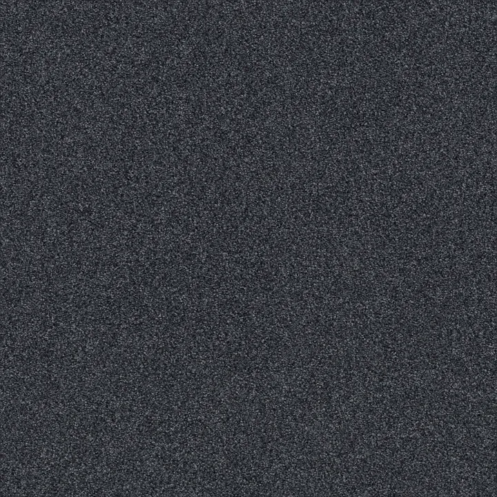 Shaw Floors Cozy Harbor II — Deep Sea · CC79B-00433 — flooring selection with LeviArs Design & Remodeling