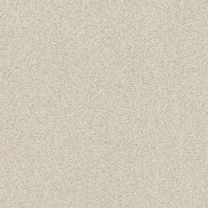 Shaw Floors Cozy Harbor II — Delicate Cream · CC79B-00156 — flooring selection with LeviArs Design & Remodeling