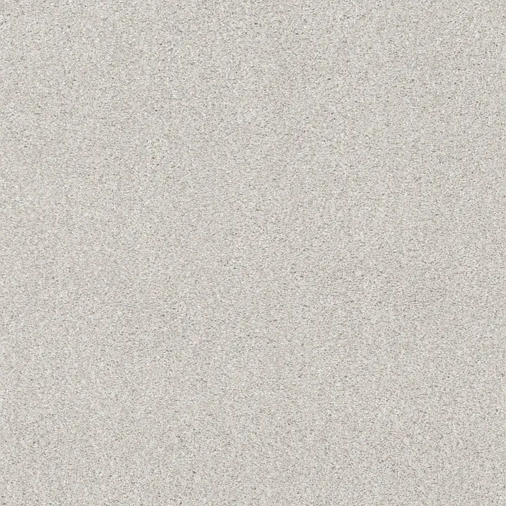 Shaw Floors Cozy Harbor II — Free Space · CC79B-00152 — flooring selection with LeviArs Design & Remodeling