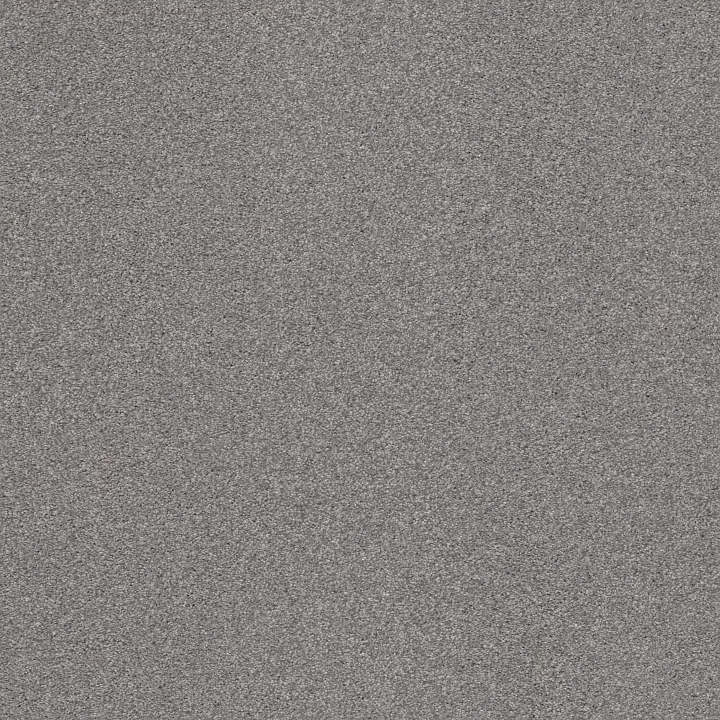 Shaw Floors Cozy Harbor II — Grounded Gray · CC79B-00536 — flooring selection with LeviArs Design & Remodeling