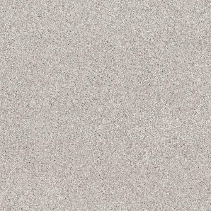 Shaw Floors Cozy Harbor II — Minimal · CC79B-00514 — flooring selection with LeviArs Design & Remodeling