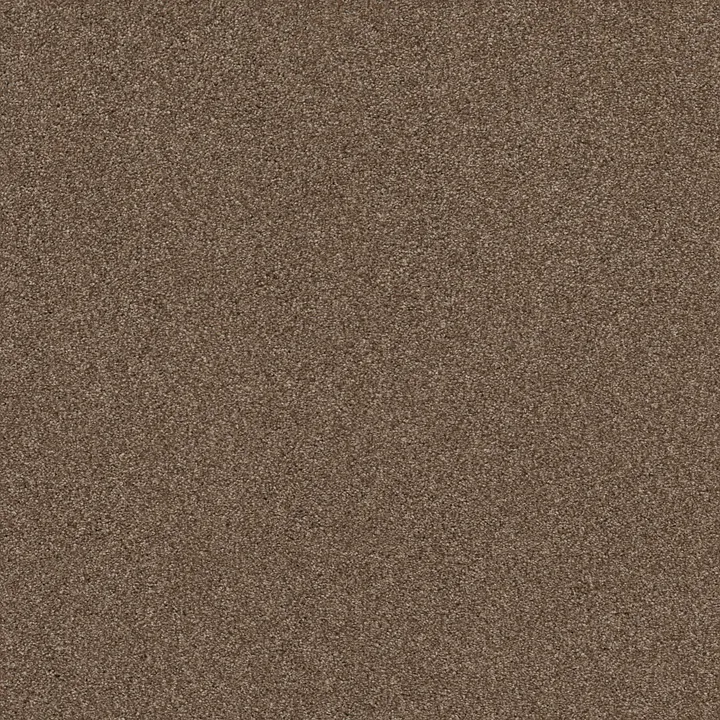 Shaw Floors Cozy Harbor II — Raw Wood · CC79B-00720 — flooring selection with LeviArs Design & Remodeling