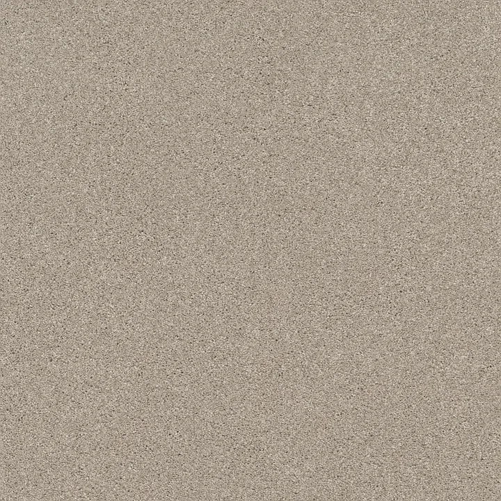 Shaw Floors Cozy Harbor II — Sandstone · CC79B-00743 — flooring selection with LeviArs Design & Remodeling
