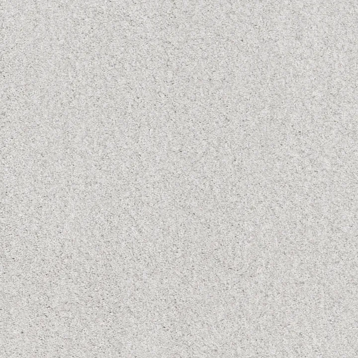 Shaw Floors Cozy Harbor II — Snowfall · CC79B-00150 — flooring selection with LeviArs Design & Remodeling