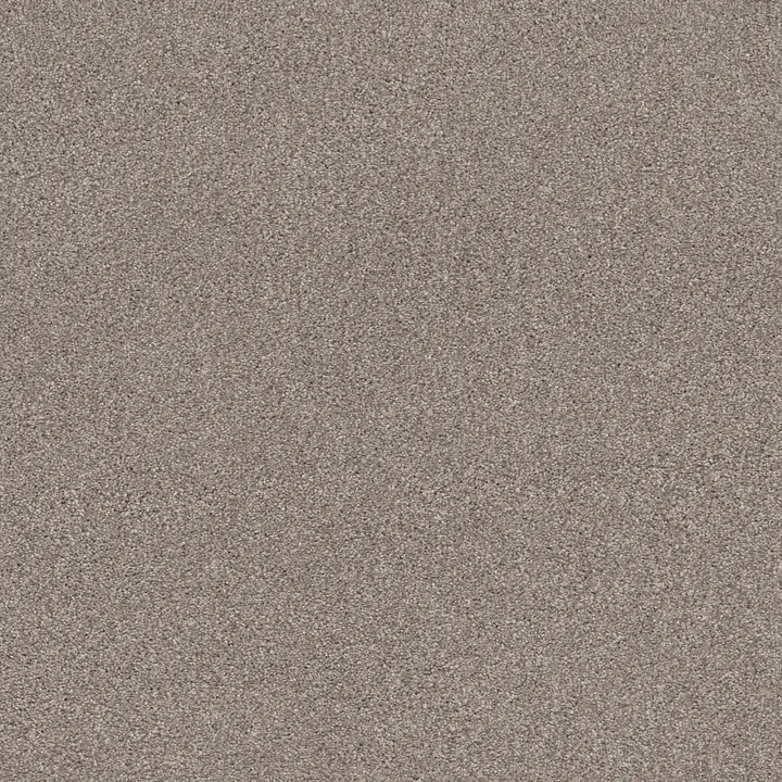 Shaw Floors Cozy Harbor II — Stucco · CC79B-00724 — flooring selection with LeviArs Design & Remodeling