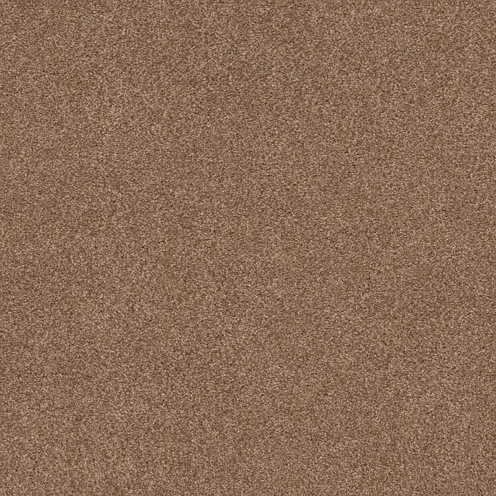 Shaw Floors Cozy Harbor II — Sunbaked · CC79B-00650 — flooring selection with LeviArs Design & Remodeling