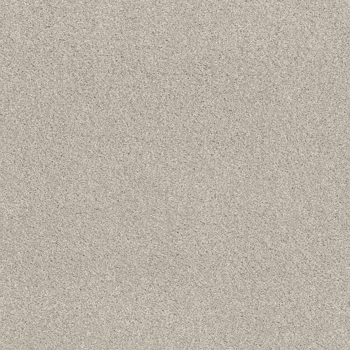 Shaw Floors Cozy Harbor II — Thoughtful · CC79B-00154 — flooring selection with LeviArs Design & Remodeling
