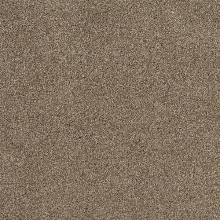 Shaw Floors Cozy Harbor II — Tumbleweed · CC79B-00749 — flooring selection with LeviArs Design & Remodeling