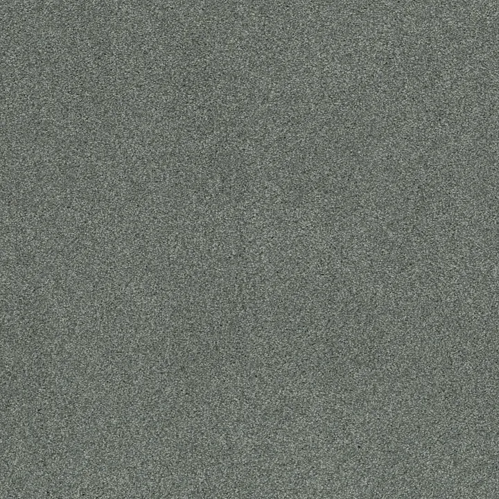 Shaw Floors Cozy Harbor II — Waters Edge · CC79B-00307 — flooring selection with LeviArs Design & Remodeling