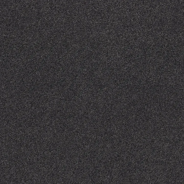 Shaw Floors Cozy Harbor II — Wrought Iron · CC79B-00533 — flooring selection with LeviArs Design & Remodeling