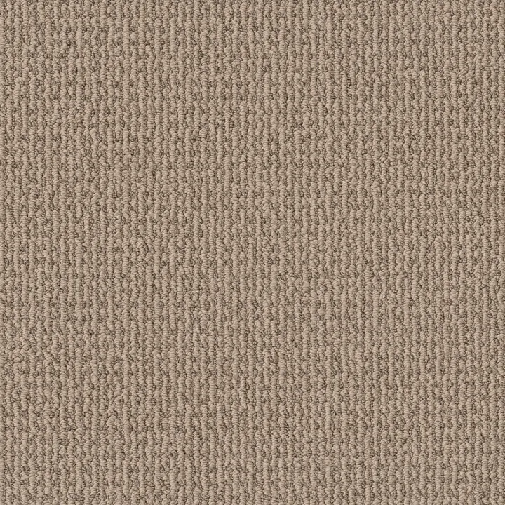 Shaw Floors Crafted Embrace — Beige Bisque · 5E455-00110 — flooring selection with LeviArs Design & Remodeling